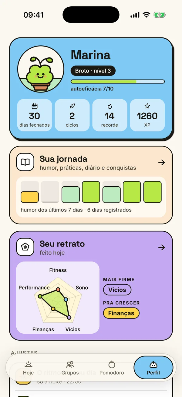 O Perfil no app, com o radar do retrato das cinco áreas.